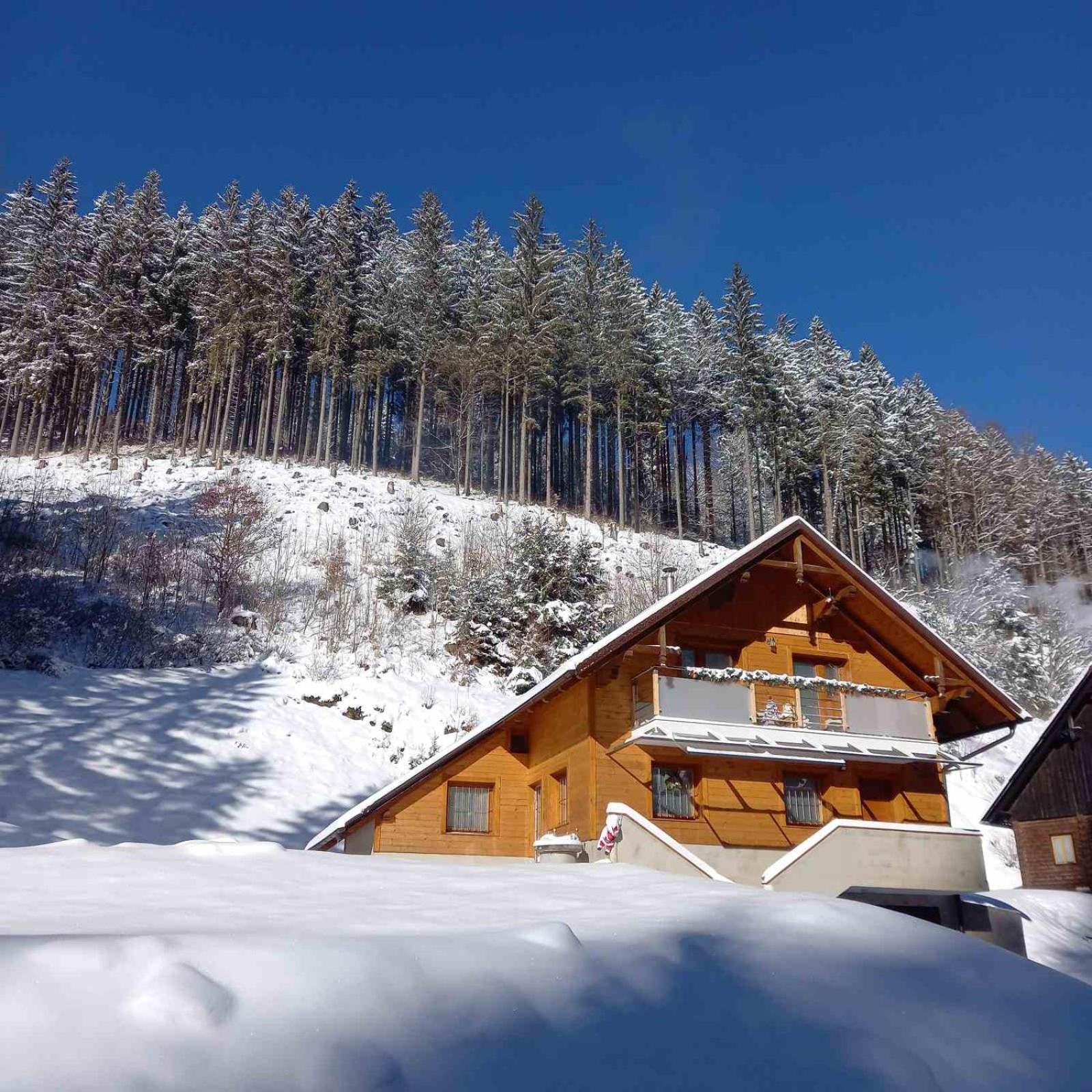Hisa Lunna - Apartments In A Forest Paradise Vitanje Dış mekan fotoğraf